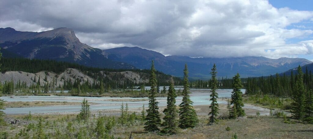 columbia icefields Familienurlaub