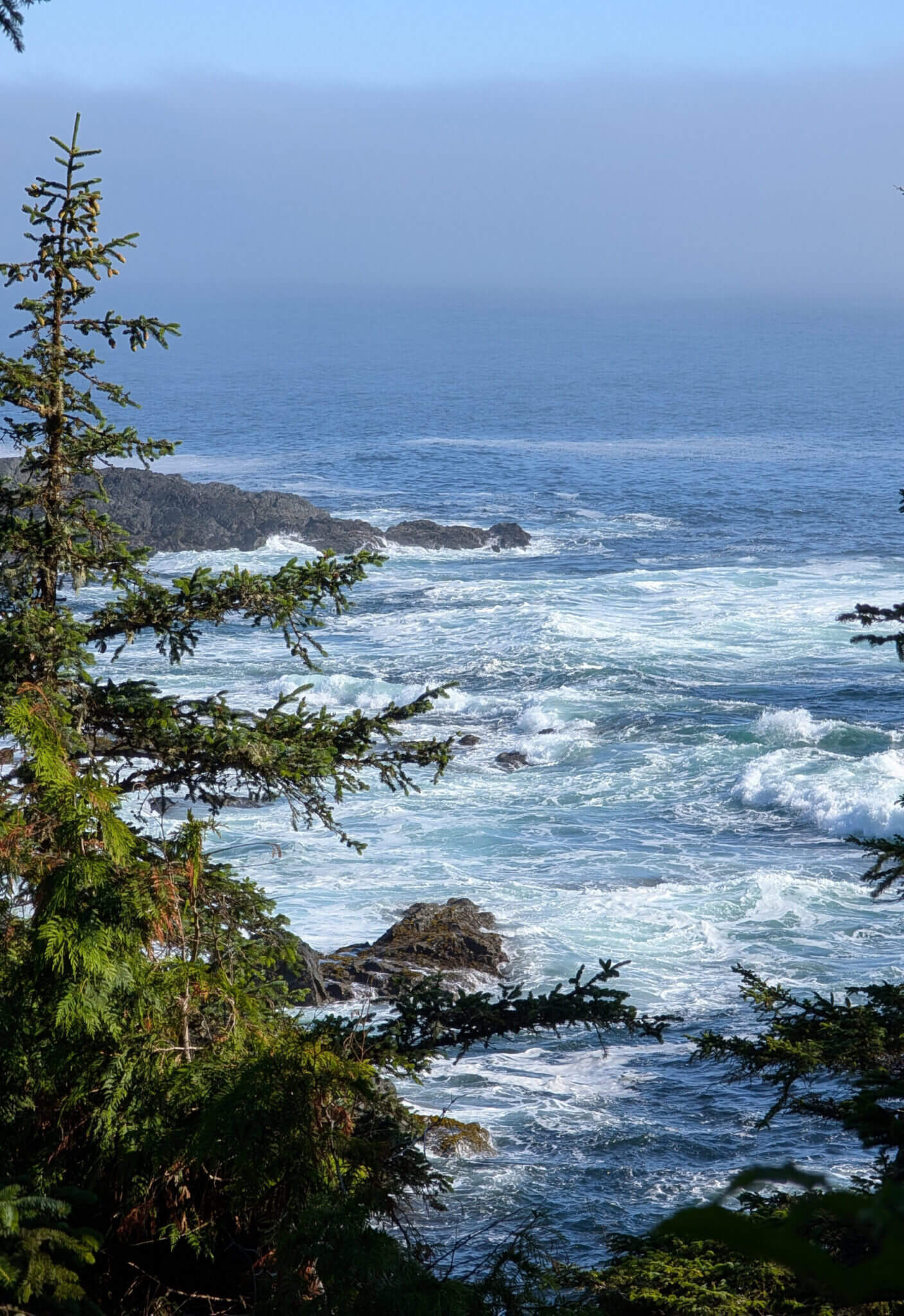 Wild Pacific Trail